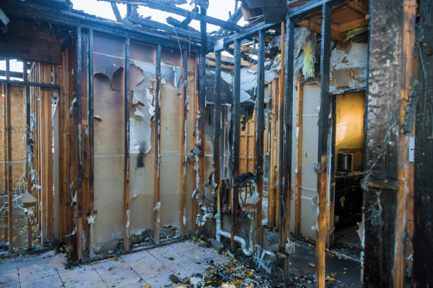 Professional Fire Damage Assessment technician working in New Whiteland, IN